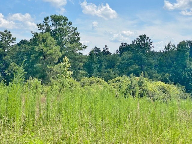 Tbd Vincetown Road Sandy Hook, MS 39478 - Photo 7 of 16 Photo 7