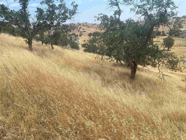 $30,000 | 9104 Capullo Circle, La Grange, CA 95329