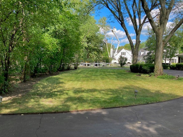 1721 Wagner Road Glenview, IL 60025 - Photo 4 of 17 a view of a backyard with large trees