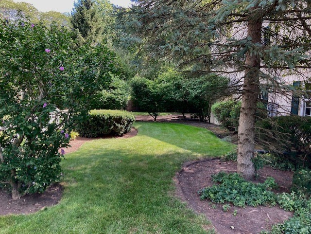 1721 Wagner Road Glenview, IL 60025 - Photo 6 of 17 a view of a backyard with large trees