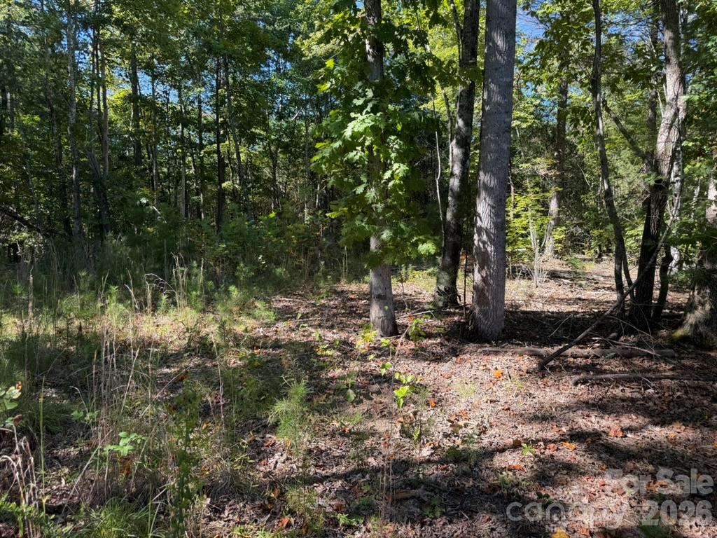 3523 Pax Hill Road Morganton, NC 28655 - Photo 1 of 14 Gallery Image 1