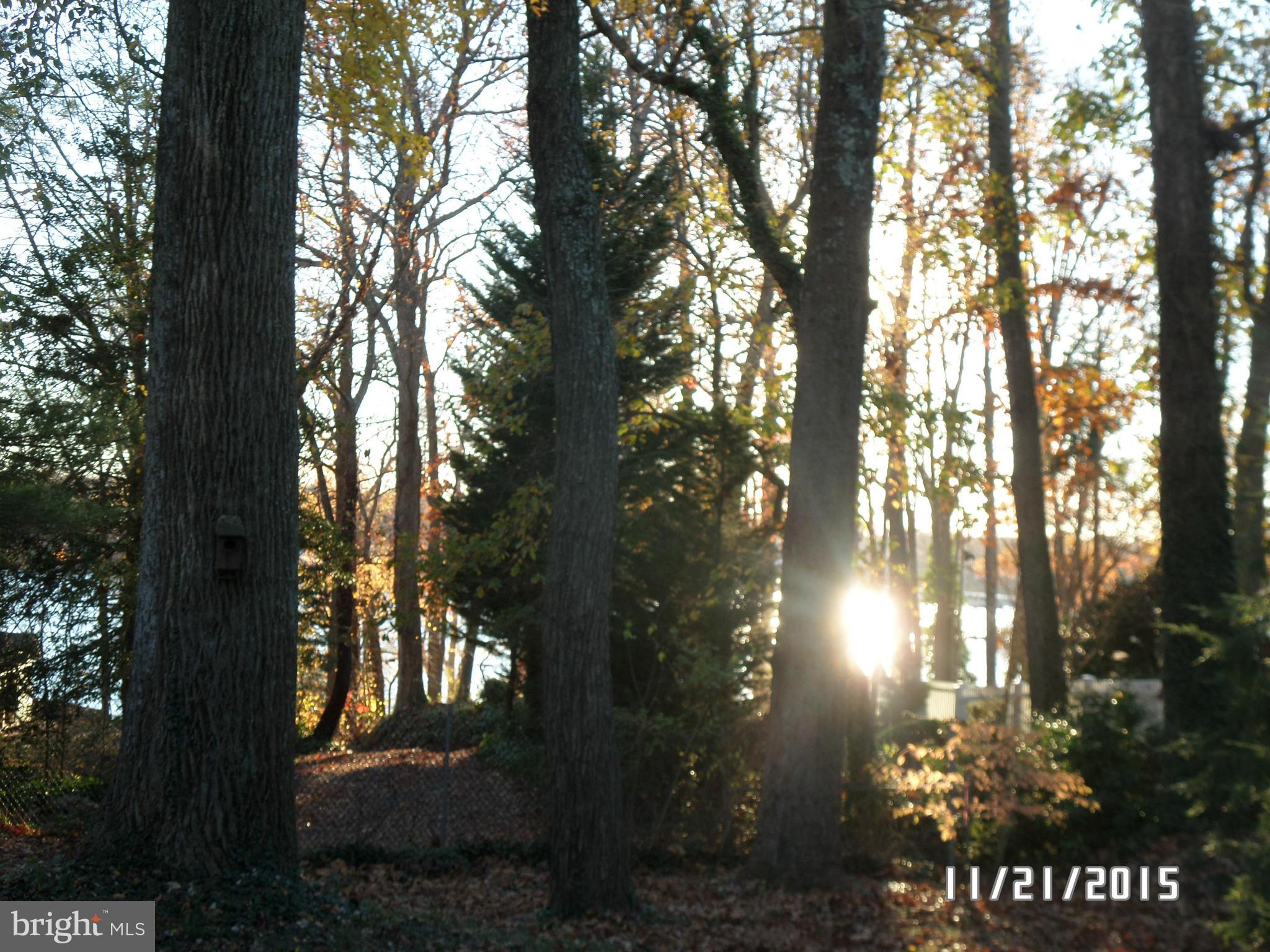 2976 Friends Road Annapolis, MD 21401 - Photo 2 of 30 Seasonal view to South River
