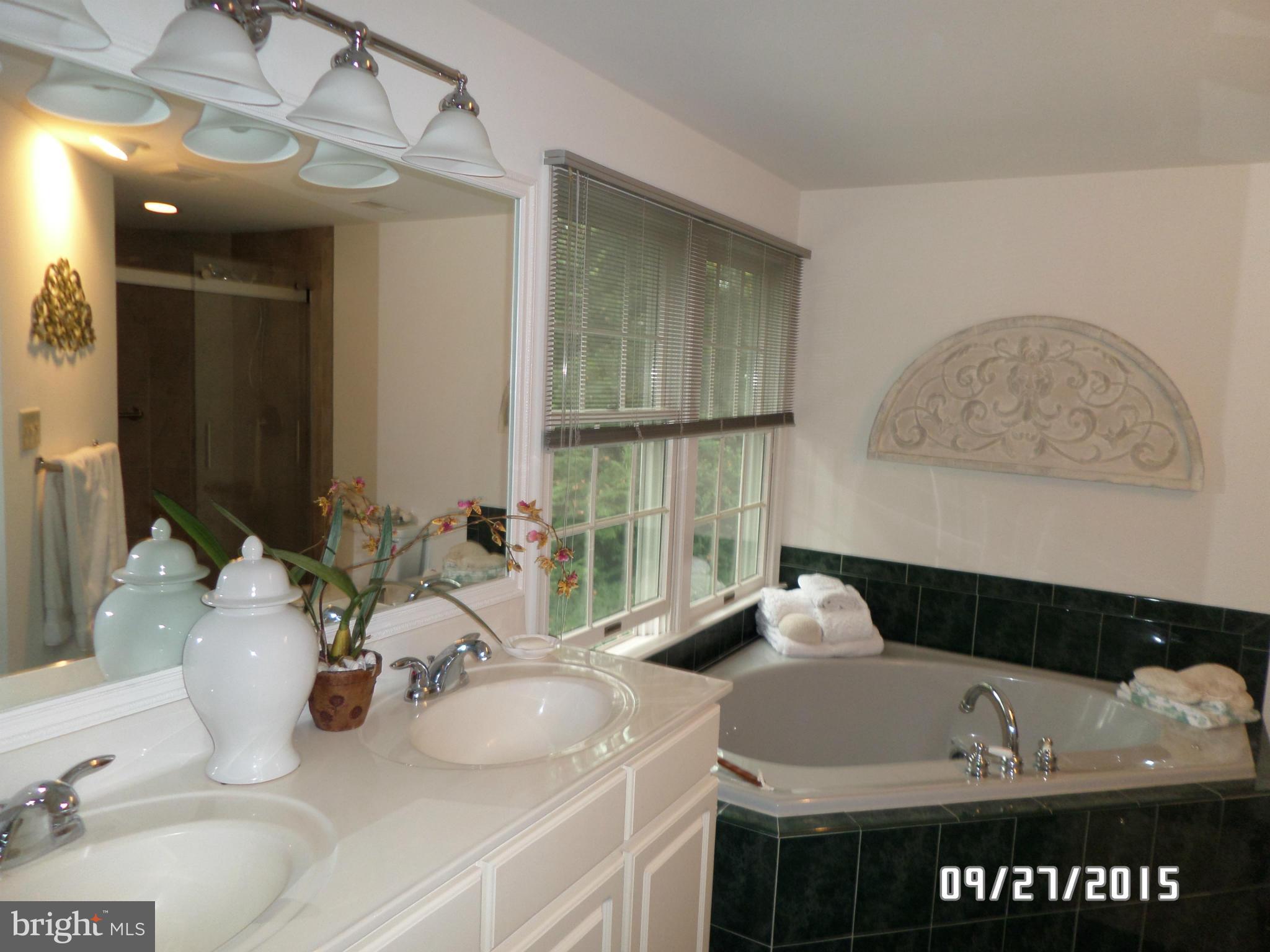 2976 Friends Road Annapolis, MD 21401 - Photo 19 of 30 jet tub and separate shower