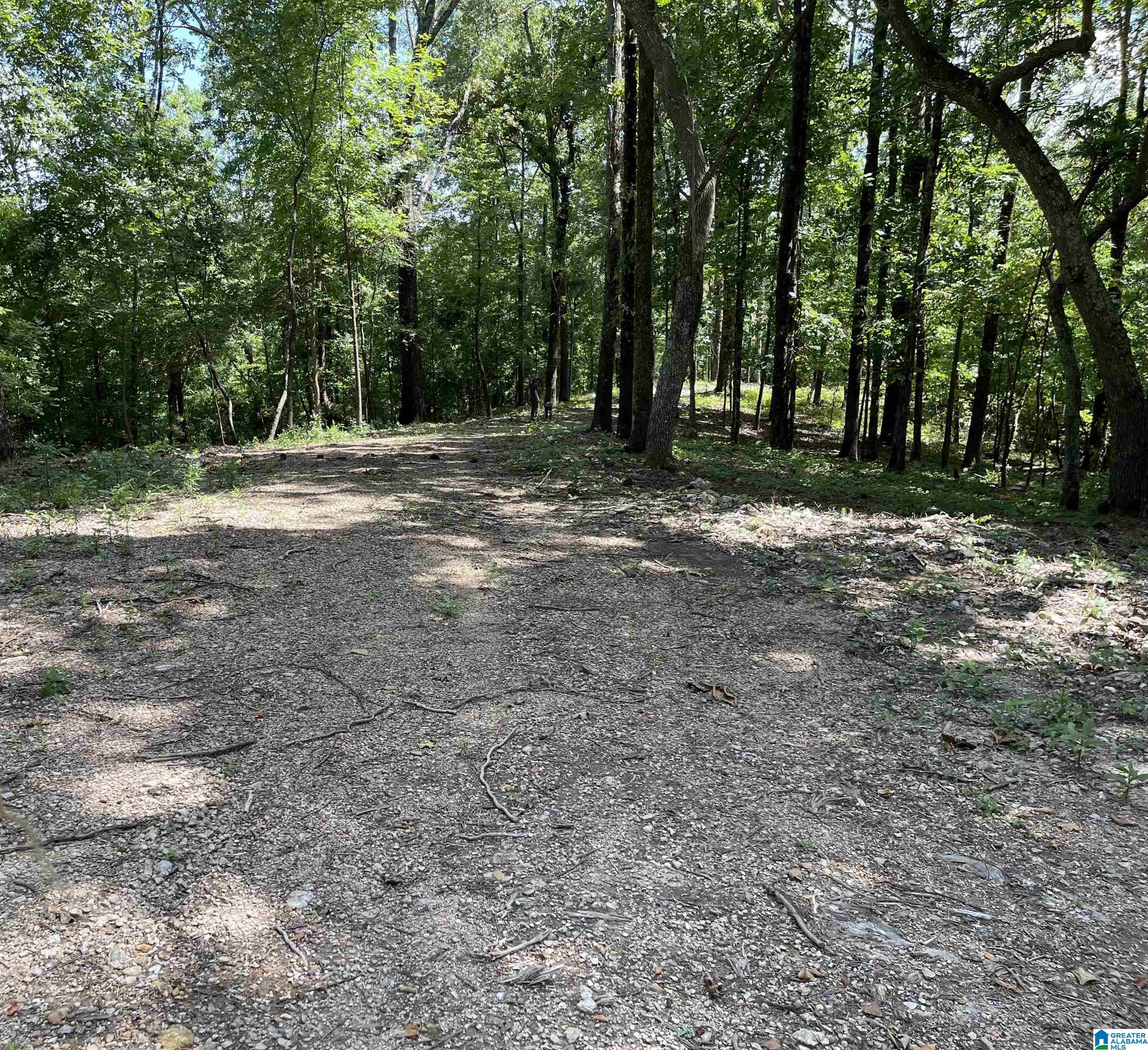 84 Rustic Drive, Unit 2 Harpersville, AL 35078 - Photo 13 of 23