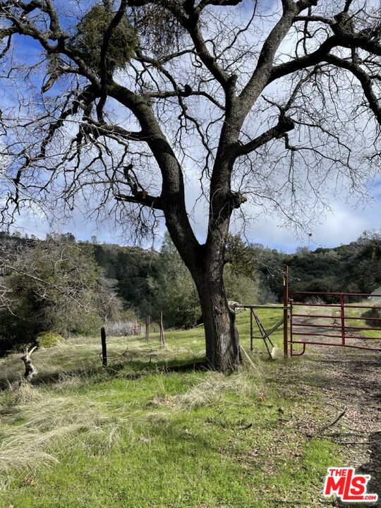 4132 Usona Road Mariposa, CA 95338 - Photo 11 of 26 a view of a yard with a tree