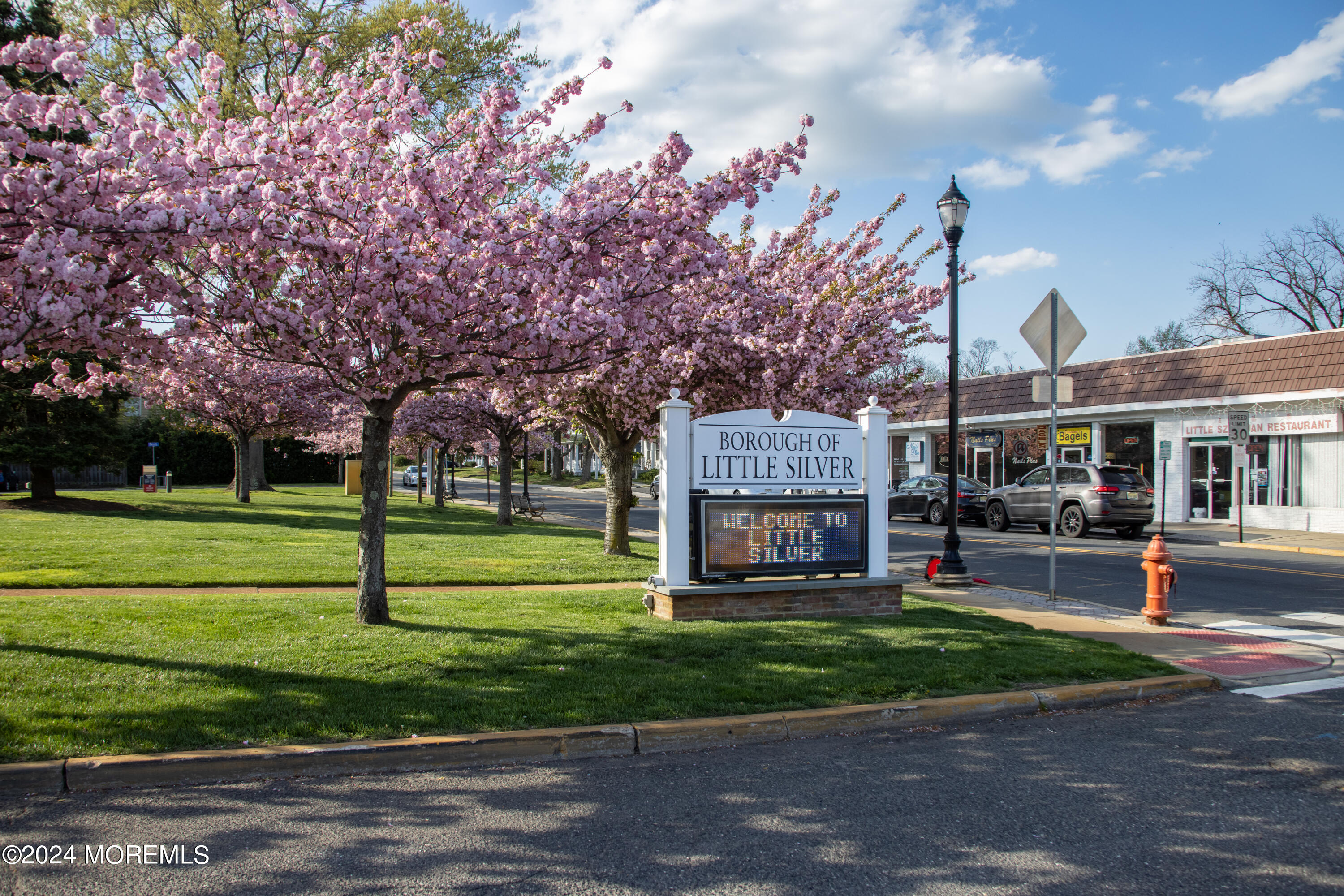 34 Crest Drive Little Silver, NJ 07739 - Photo 37 of 41 Downtown