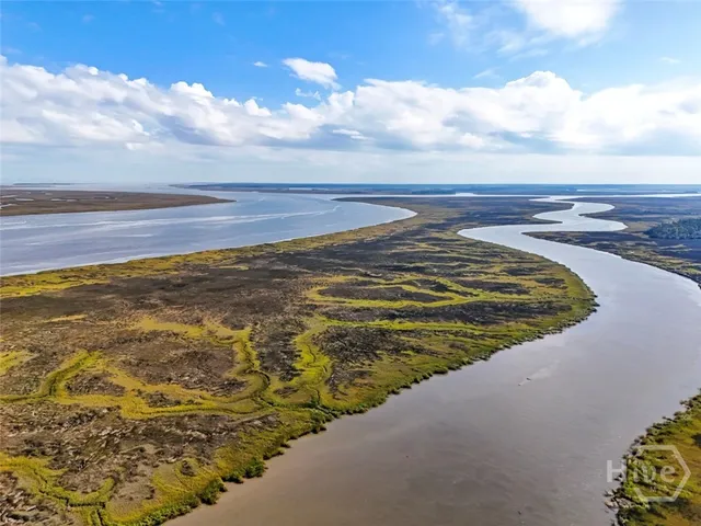 $4,900 | 437 Bear River Drive, Richmond Hill, GA 31324