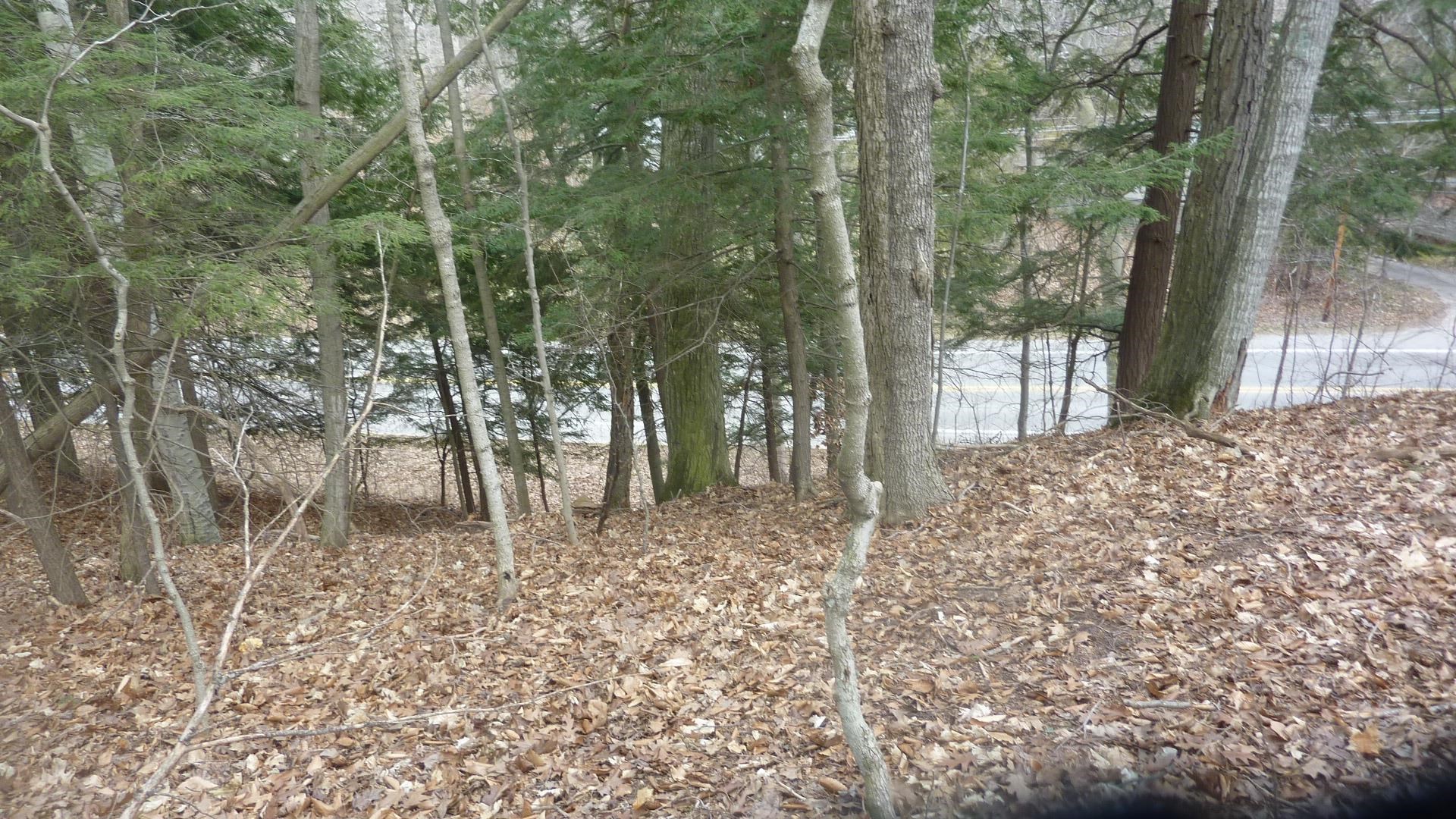 0 Old State Road Frankfort, MI 49635 - Photo 8 of 17