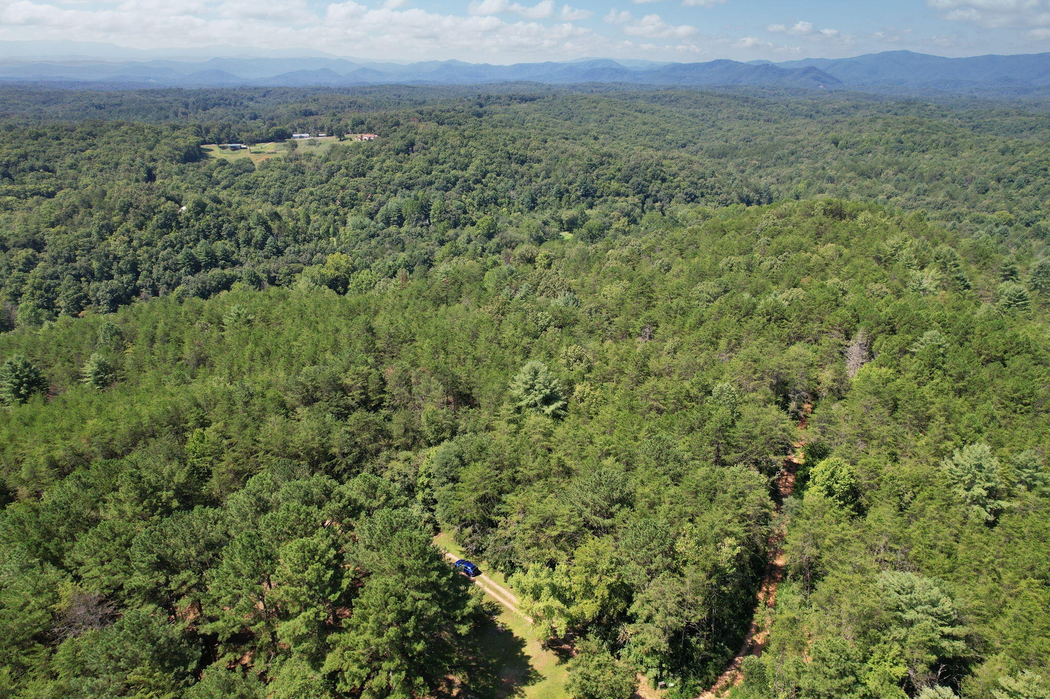 0 Staffordtown Road Copperhill, TN 37317 - Photo 5 of 12 a view of a green field with lots of bushes