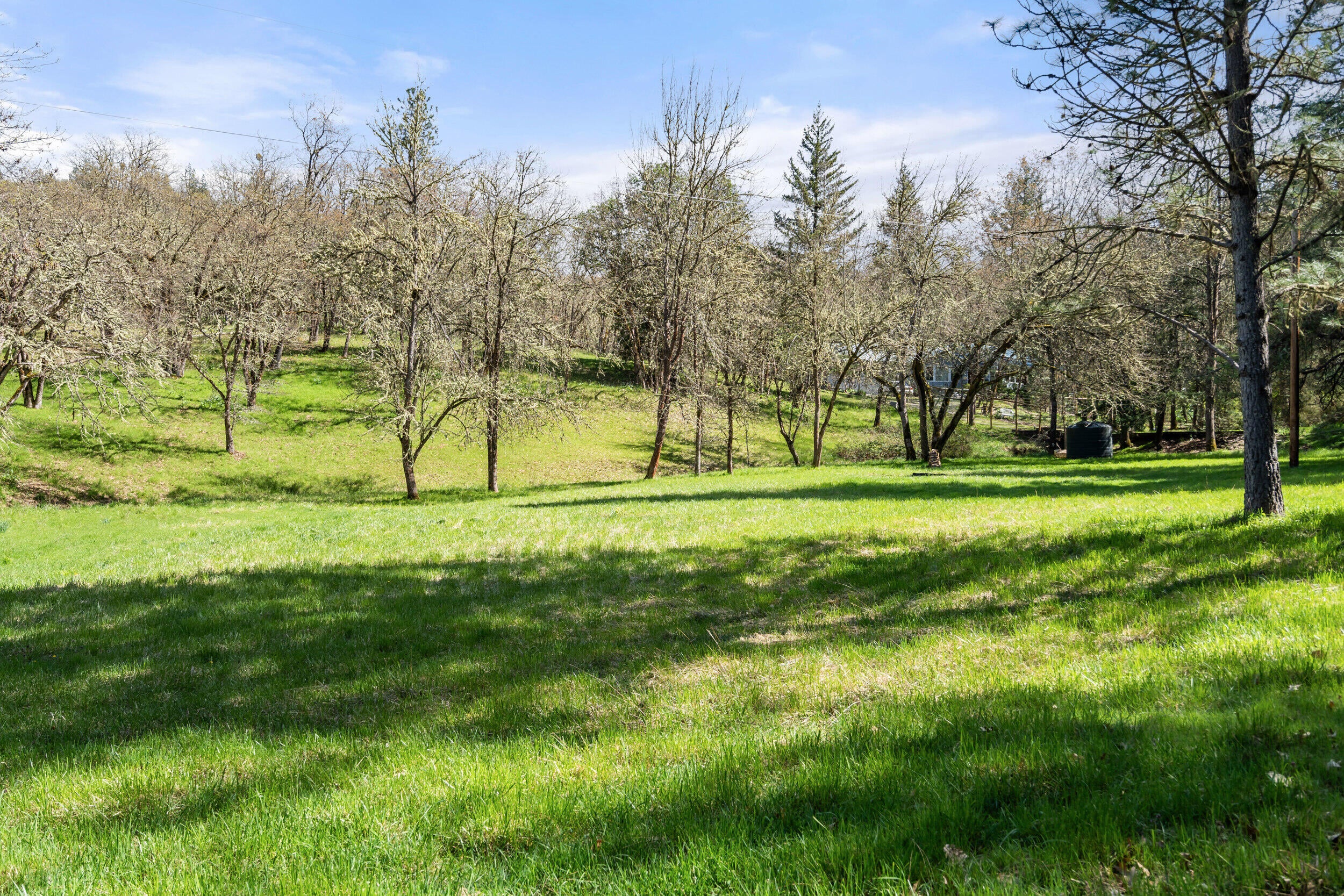 1237 Daisy Creek Road Jacksonville, OR 97530 - Photo 1 of 31 1237-daisy-creek-rd-01