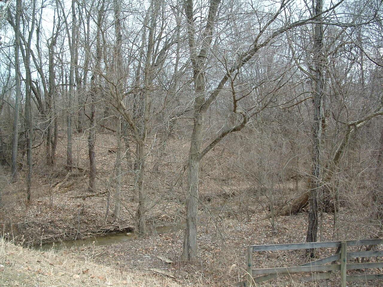 12338 Morse Road Pataskala, OH 43062 - Photo 31 of 43 DSCF0031