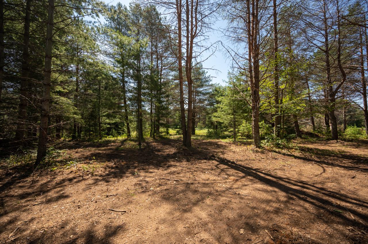 Lot #58 St Marys Road Eagle River, WI 54521 - Photo 2 of 3 Gallery Image 2