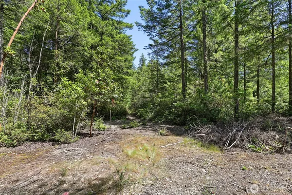 a view of outdoor space and trees