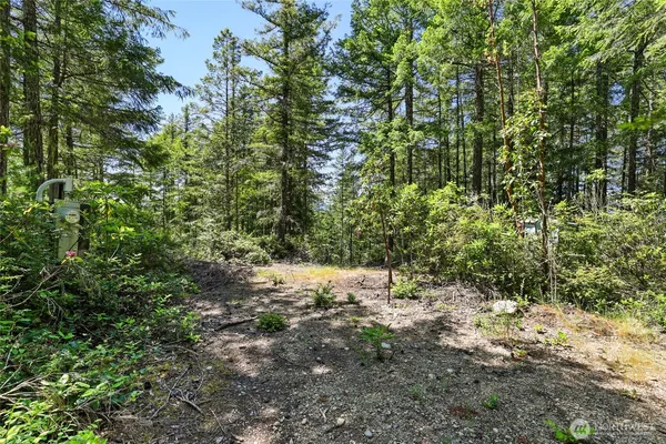 a view of a yard with plants and tree