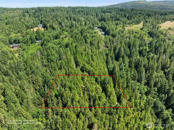 a view of a lush green forest with lots of trees