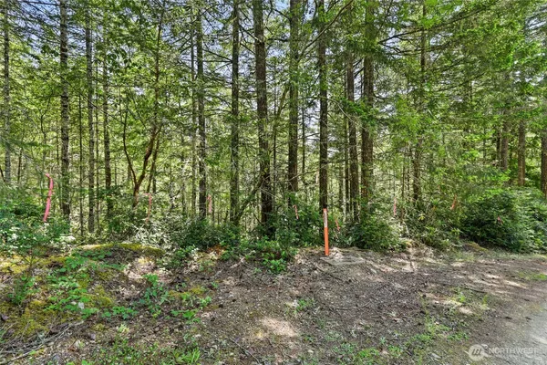 a view of outdoor space and green space