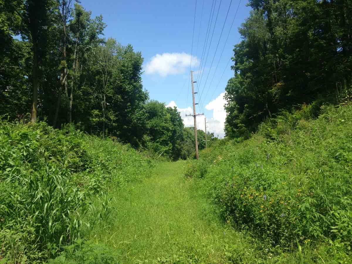 0 North Old St Road Delphi, IN 46923 - Photo 1 of 5