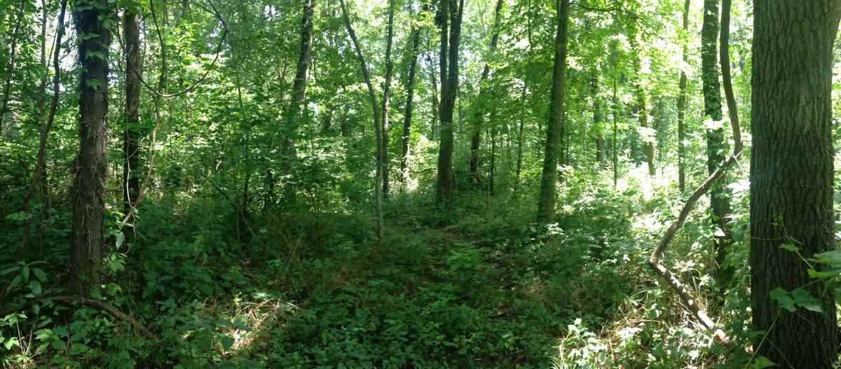 0 North Old St Road Delphi, IN 46923 - Photo 5 of 5