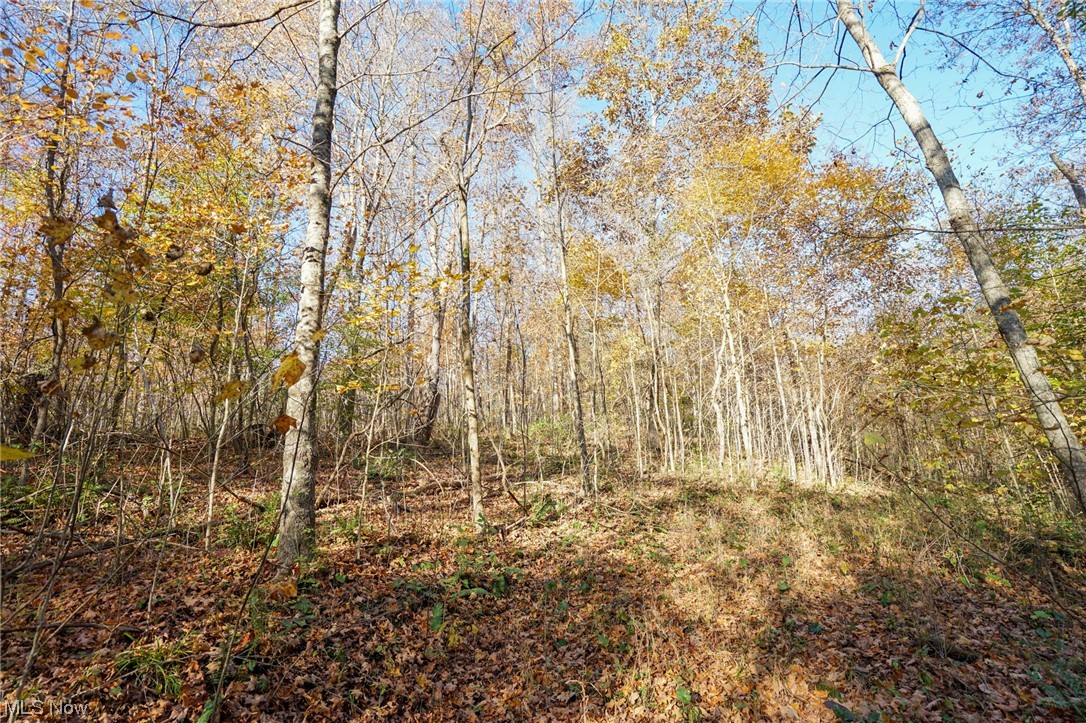 8662 Porter Run Road Roseville, OH 43777 - Photo 12 of 33 View of nature