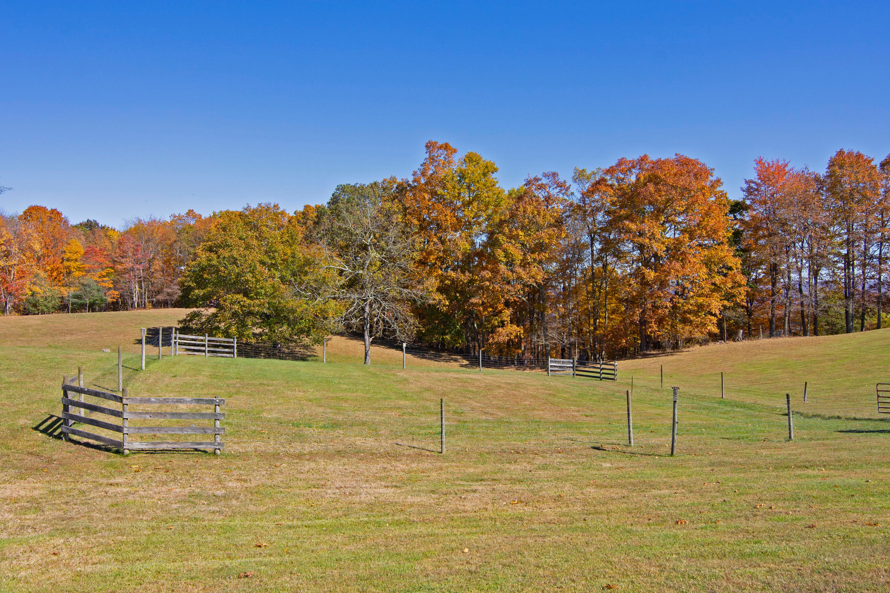 635 Windpsalm Road Renick, WV 24966 - Photo 63 of 74 Gallery Image 63