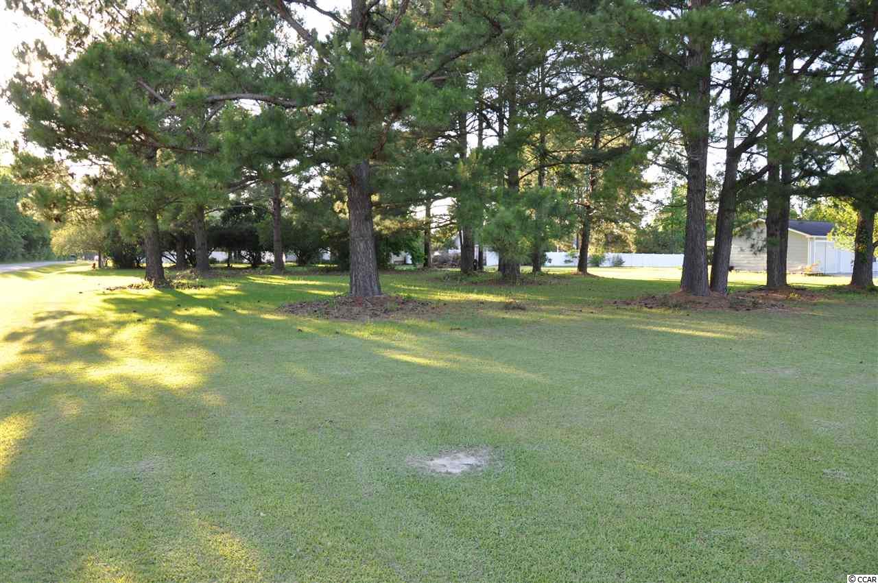 Tbd Sugar Bush Road Longs, SC 29568 - Photo 1 of 25 Gallery Image 1