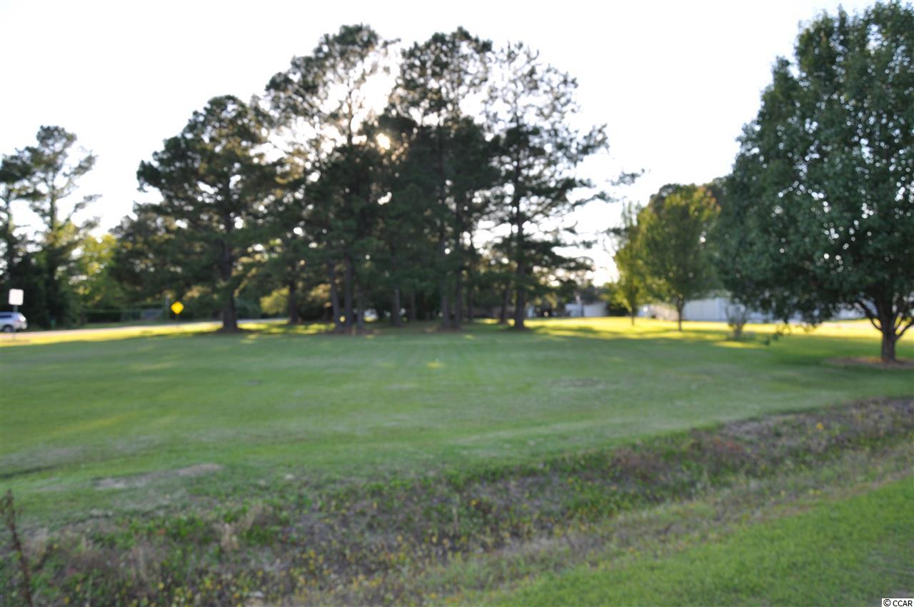 Tbd Sugar Bush Road Longs, SC 29568 - Photo 2 of 25 Gallery Image 2