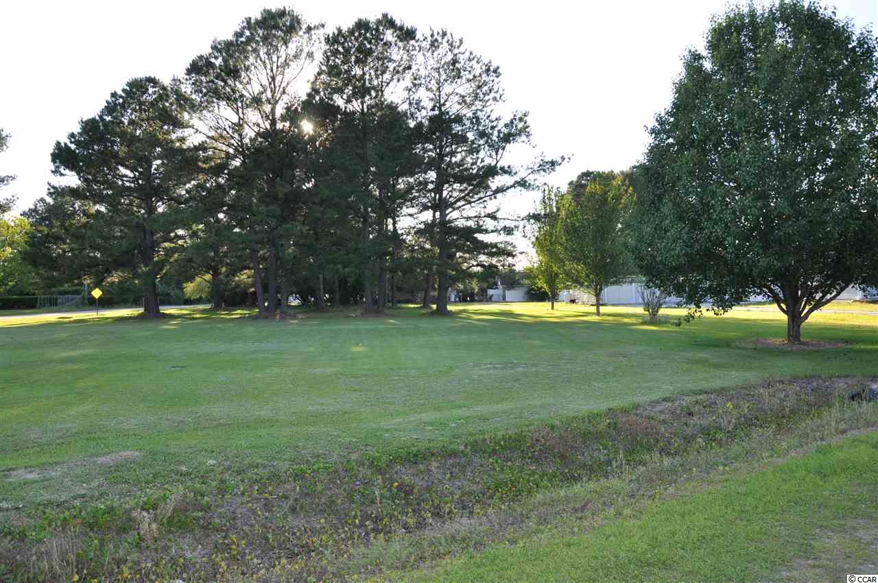 Tbd Sugar Bush Road Longs, SC 29568 - Photo 12 of 25 Gallery Image 12