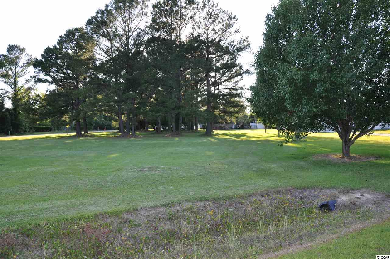 Tbd Sugar Bush Road Longs, SC 29568 - Photo 13 of 25 Gallery Image 13