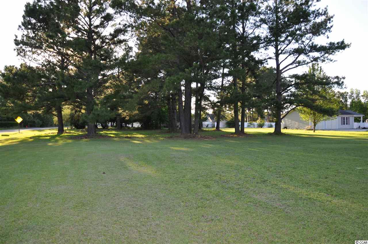 Tbd Sugar Bush Road Longs, SC 29568 - Photo 16 of 25 Gallery Image 16