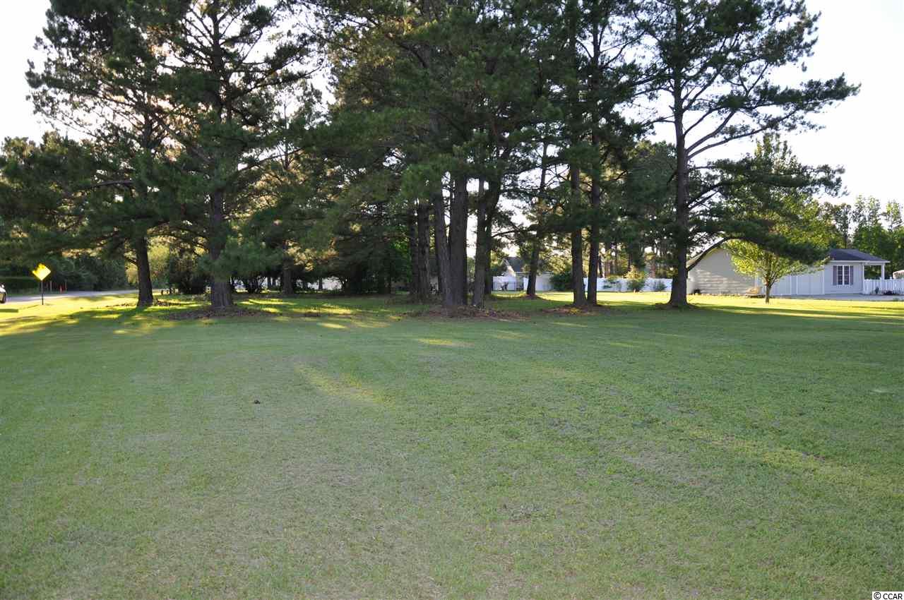Tbd Sugar Bush Road Longs, SC 29568 - Photo 17 of 25 Gallery Image 17