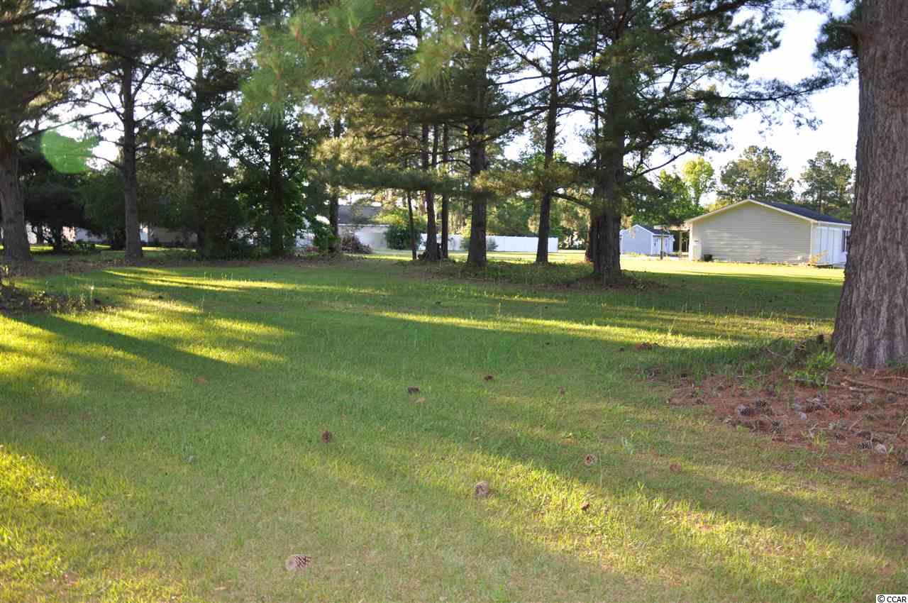 Tbd Sugar Bush Road Longs, SC 29568 - Photo 18 of 25 Gallery Image 18