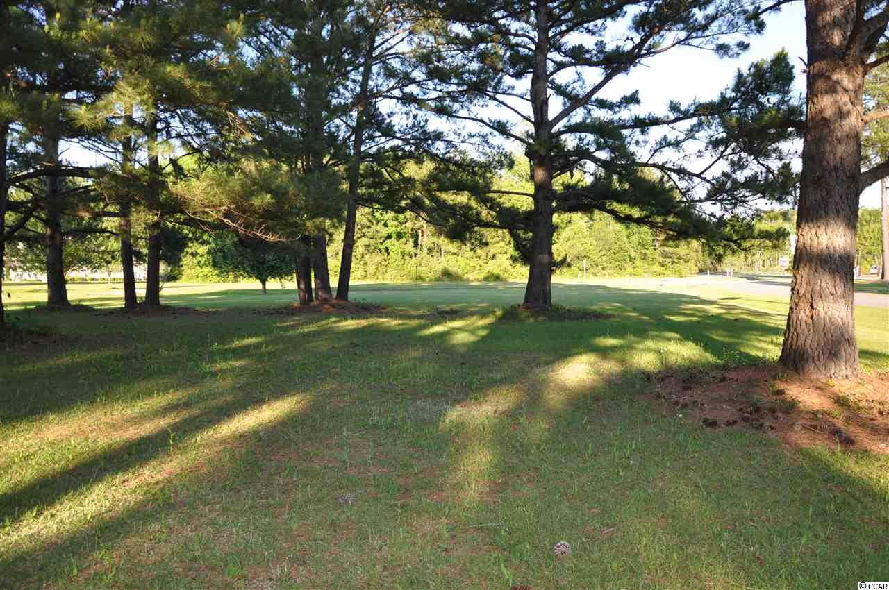 Tbd Sugar Bush Road Longs, SC 29568 - Photo 19 of 25 Gallery Image 19