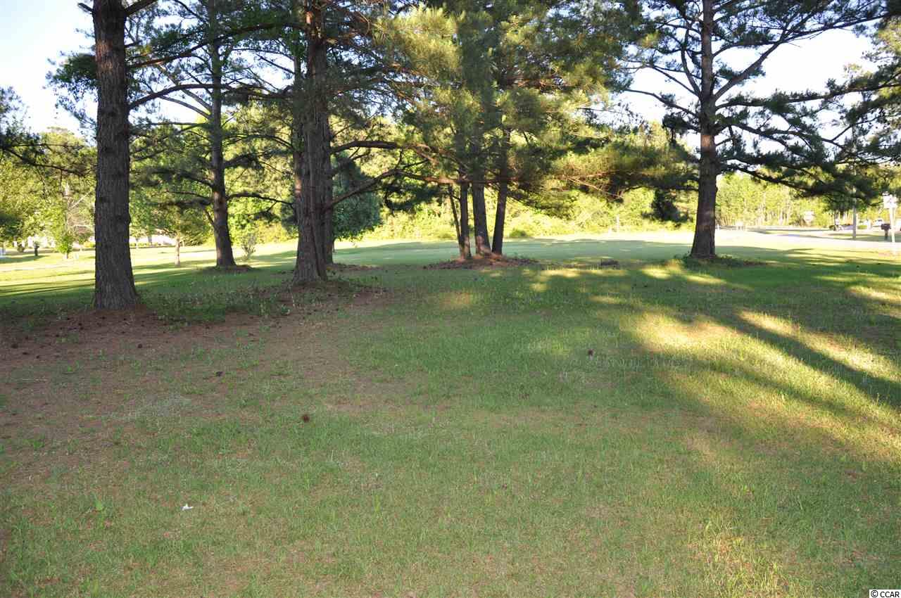 Tbd Sugar Bush Road Longs, SC 29568 - Photo 20 of 25 Gallery Image 20