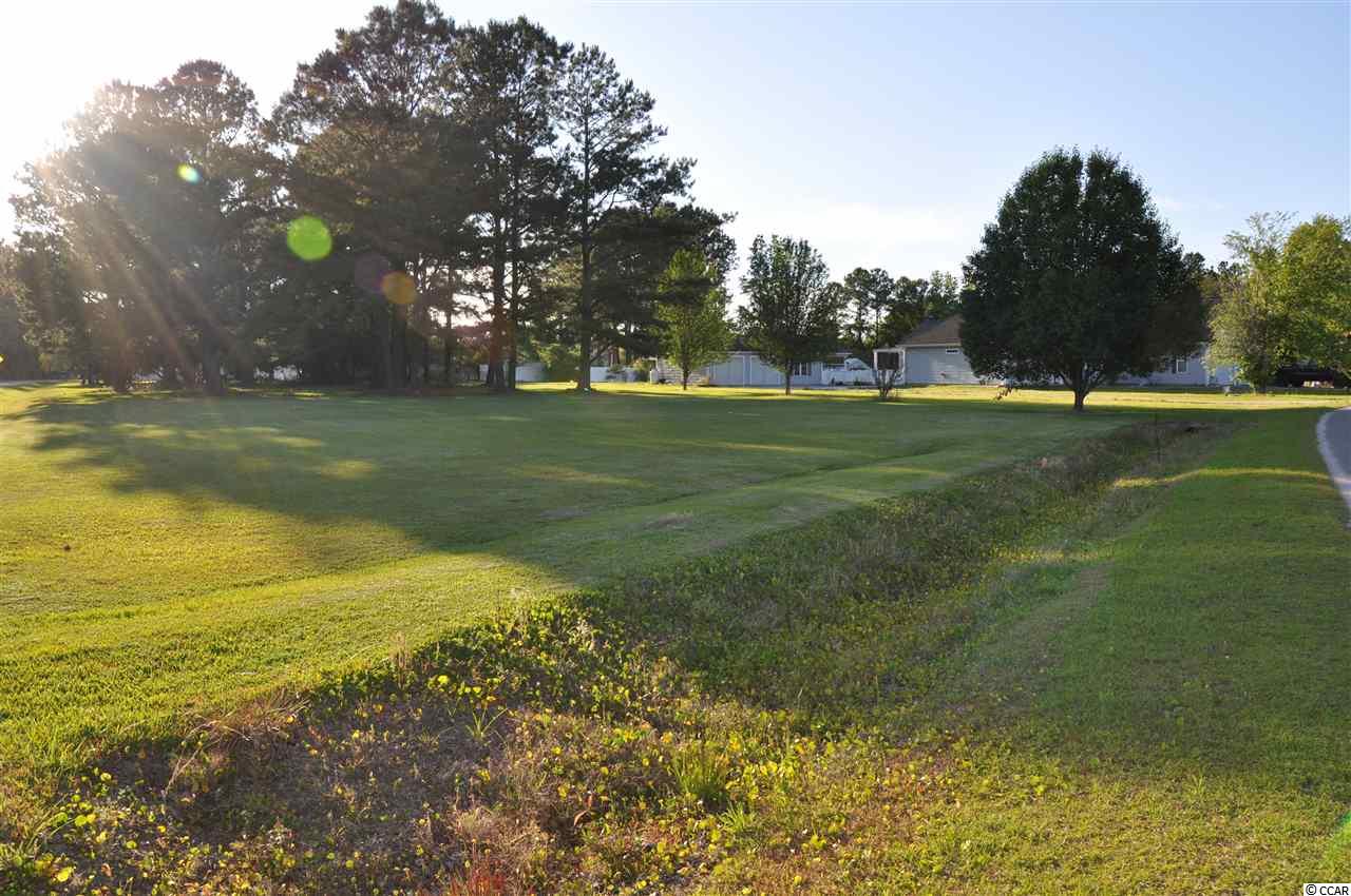 Tbd Sugar Bush Road Longs, SC 29568 - Photo 3 of 25 Gallery Image 3