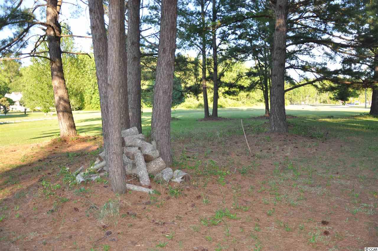 Tbd Sugar Bush Road Longs, SC 29568 - Photo 21 of 25 Gallery Image 21