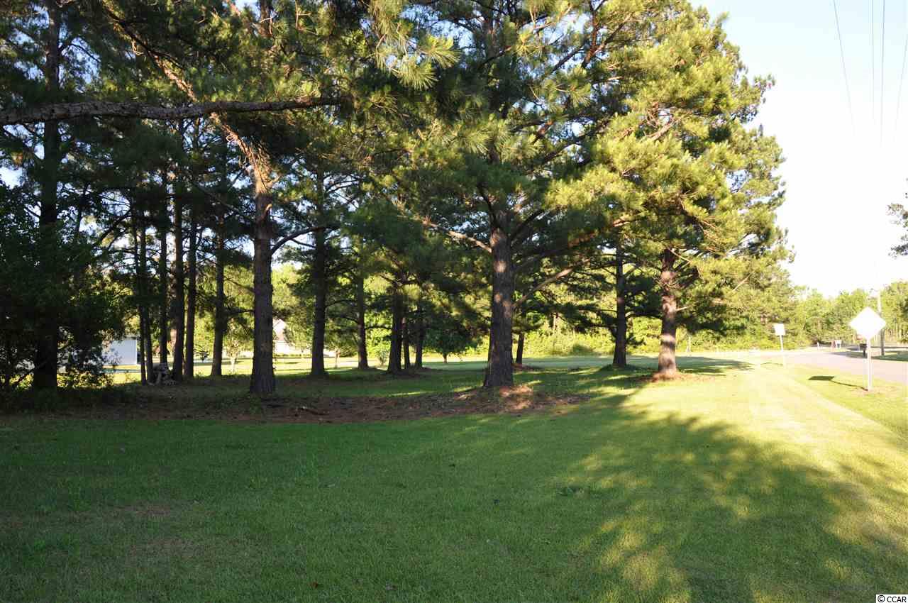 Tbd Sugar Bush Road Longs, SC 29568 - Photo 22 of 25 Gallery Image 22