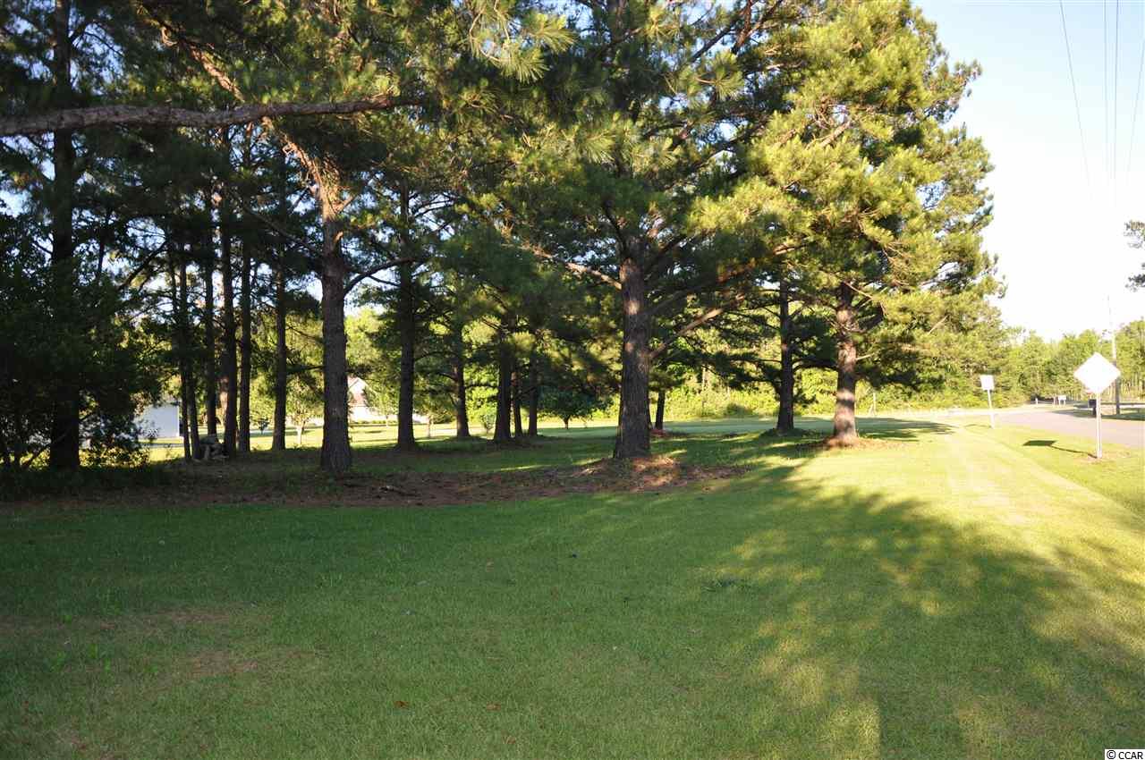 Tbd Sugar Bush Road Longs, SC 29568 - Photo 23 of 25 Gallery Image 23
