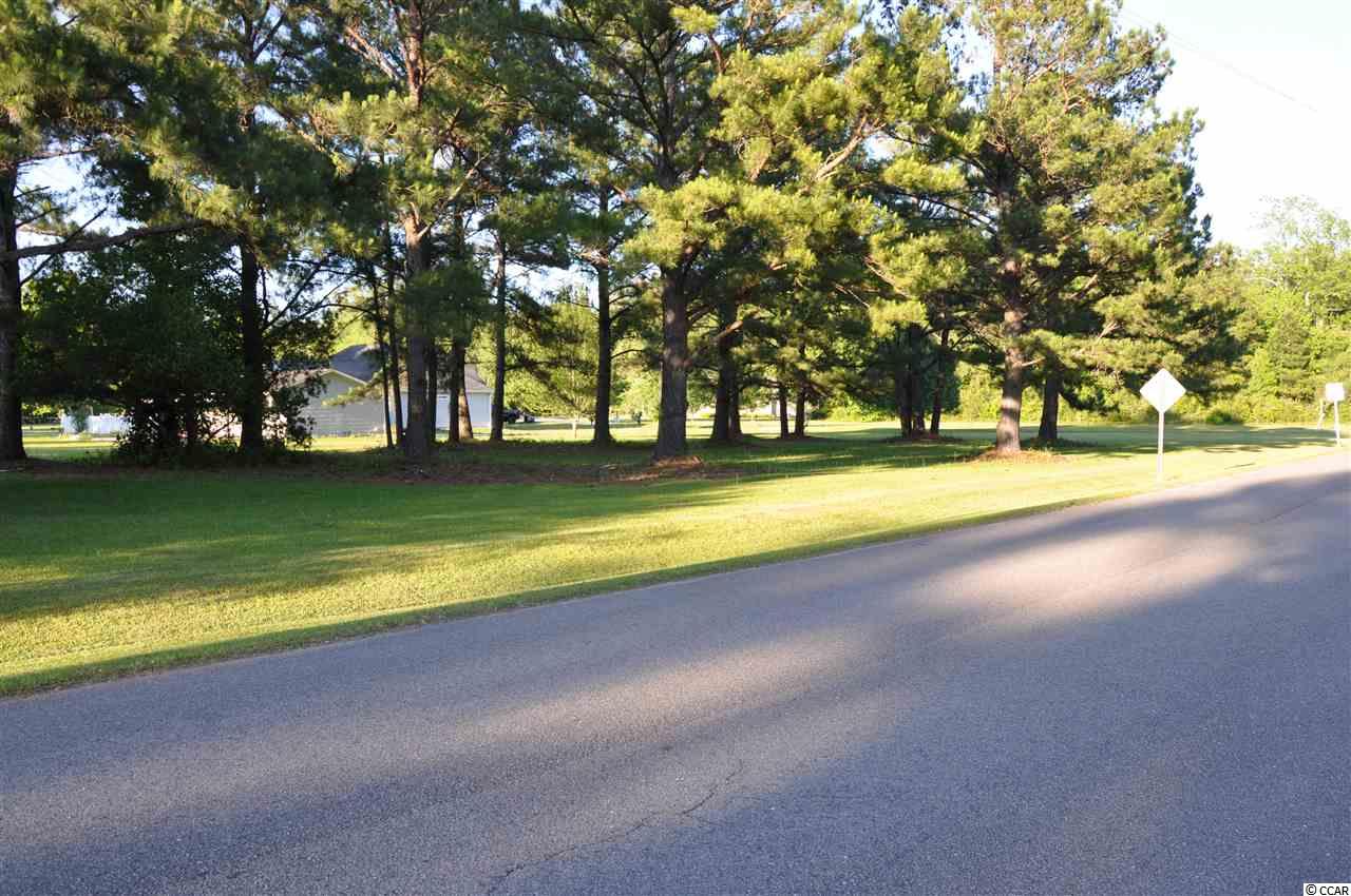 Tbd Sugar Bush Road Longs, SC 29568 - Photo 24 of 25 Gallery Image 24