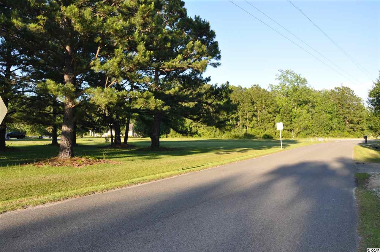 Tbd Sugar Bush Road Longs, SC 29568 - Photo 25 of 25 Gallery Image 25