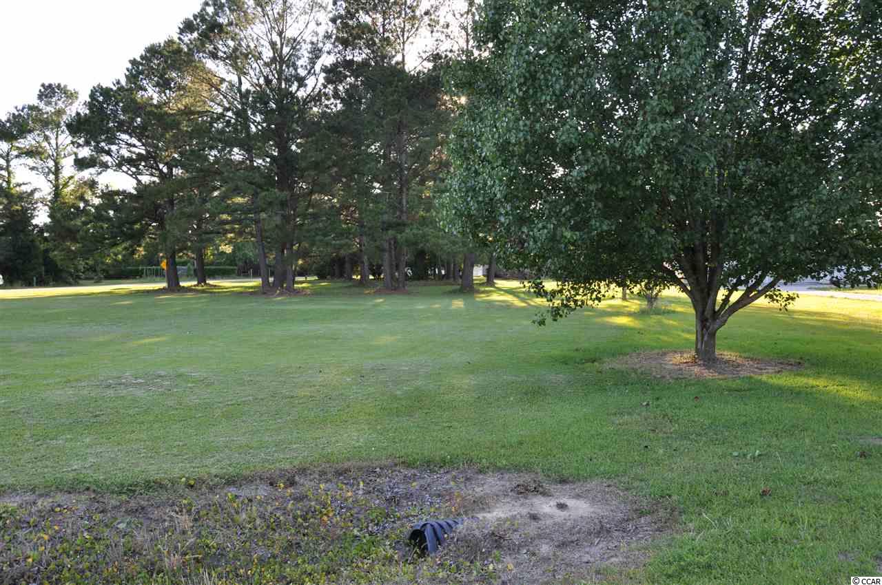 Tbd Sugar Bush Road Longs, SC 29568 - Photo 4 of 25 Gallery Image 4