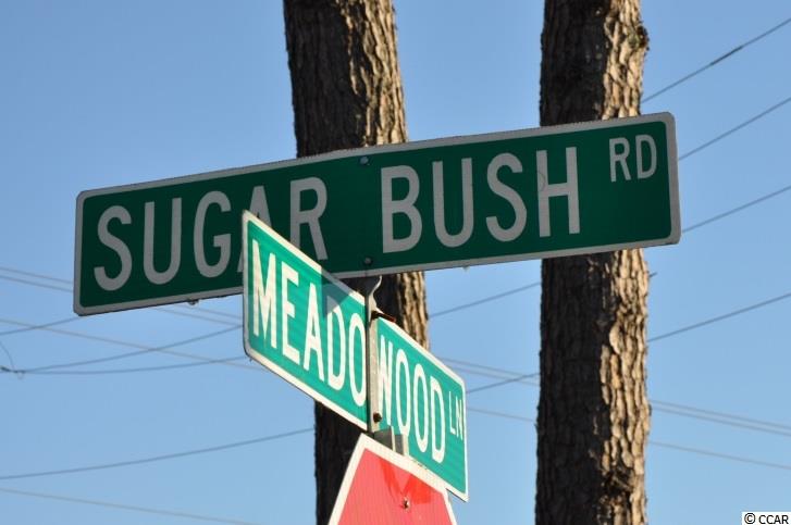 Tbd Sugar Bush Road Longs, SC 29568 - Photo 8 of 25 Gallery Image 8