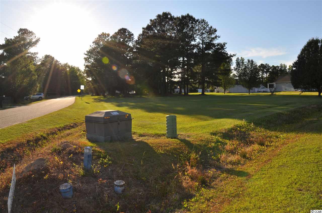 Tbd Sugar Bush Road Longs, SC 29568 - Photo 10 of 25 Gallery Image 10
