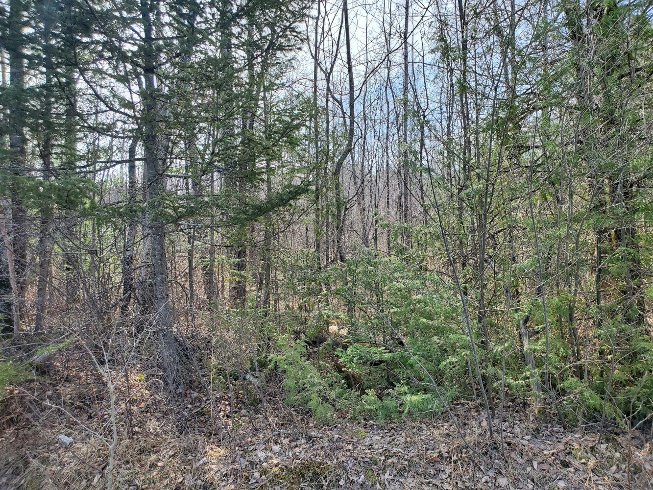 6 Hope Road Newport, ME 04953 - Photo 4 of 13 20230414_100650
