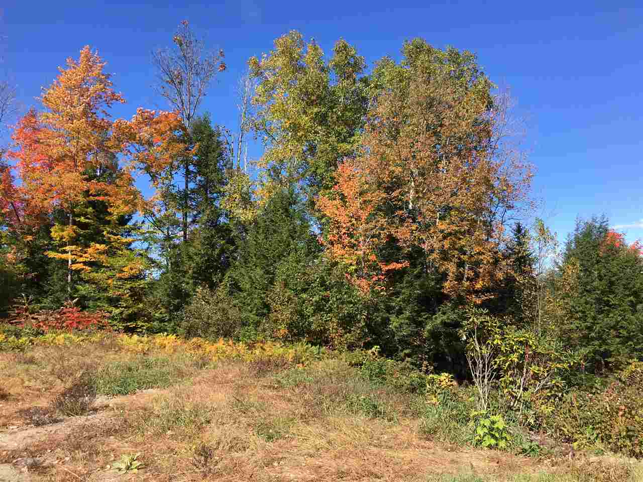 844 Dorchester Road Rumney, NH 03266 - Photo 3 of 7