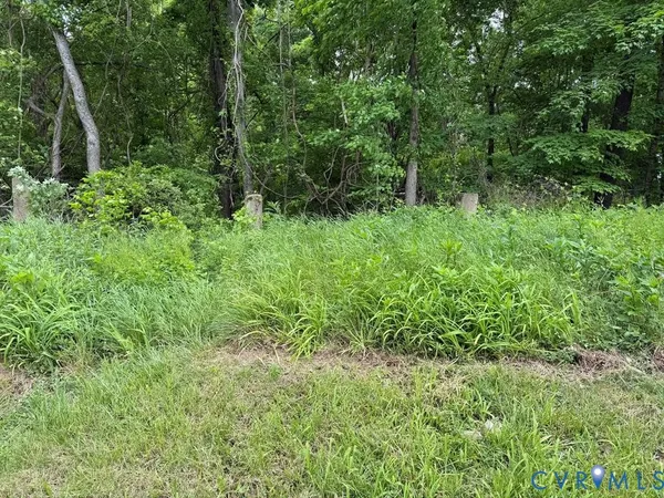 a view of forest