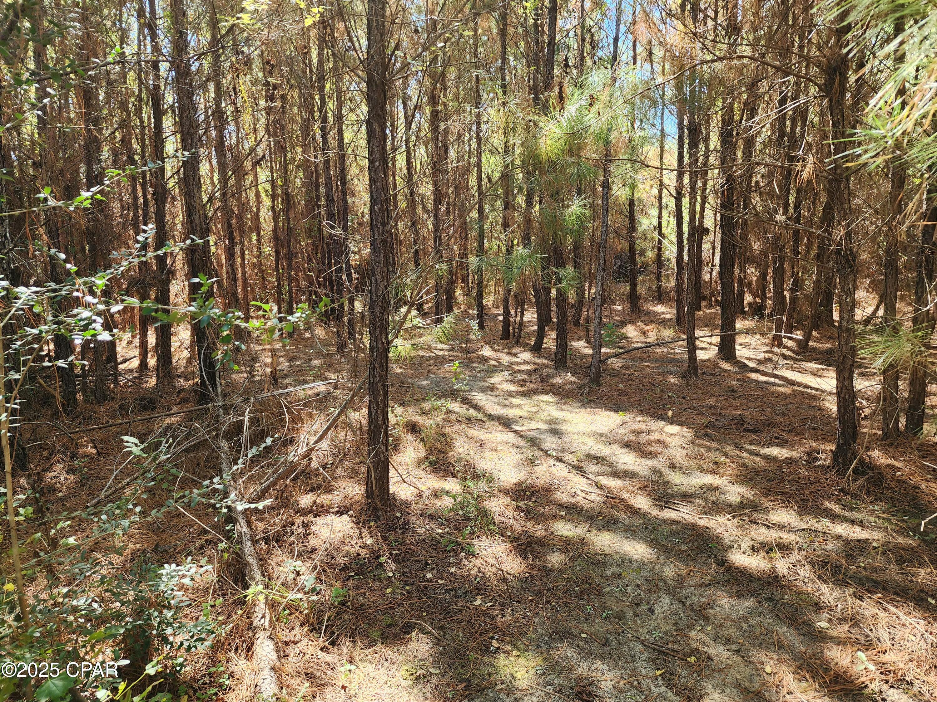 0 Pineridge Church Road Marianna, FL 32448 - Photo 16 of 33
