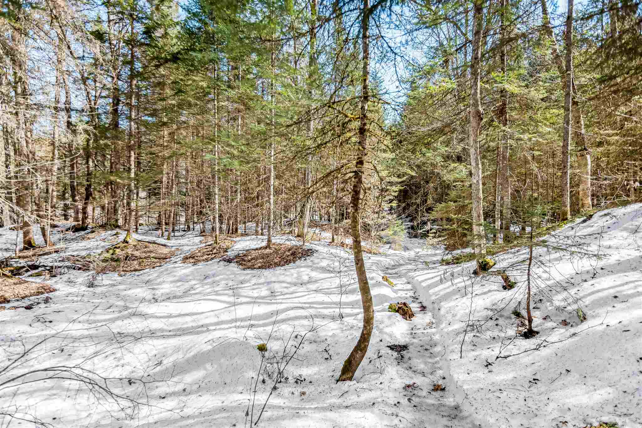 2599 Craftsbury Road Hardwick, VT 05843 - Photo 14 of 40