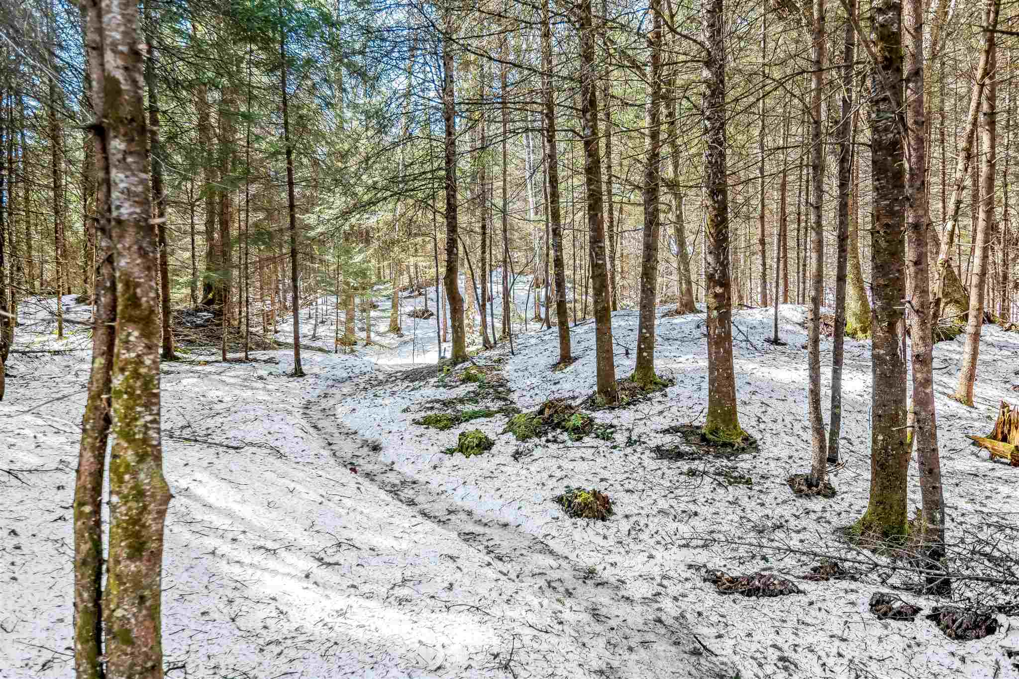2599 Craftsbury Road Hardwick, VT 05843 - Photo 4 of 40