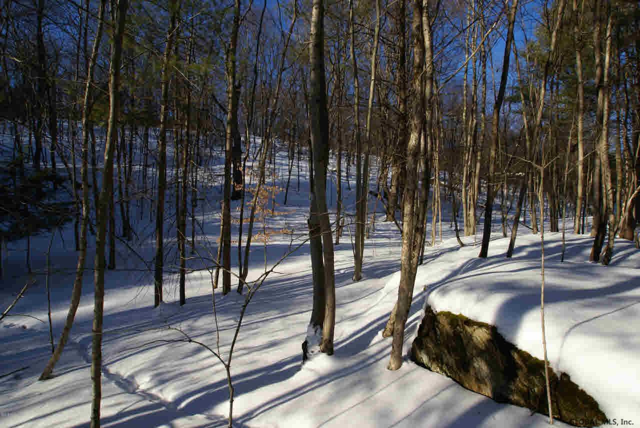 0 State Route Granville, NY 12832 - Photo 11 of 22 Photo 11