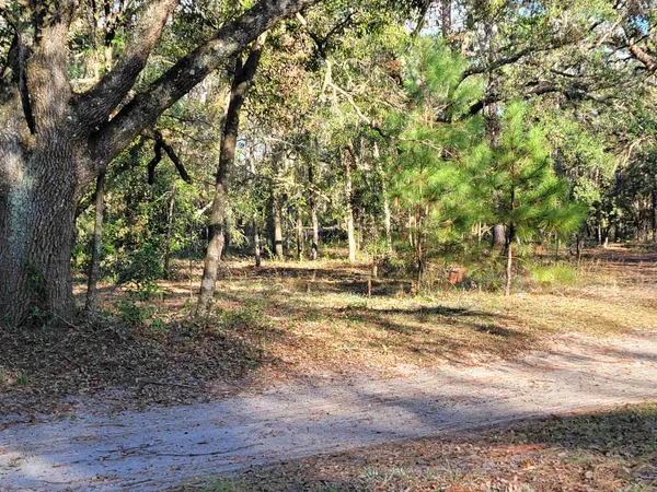 $85,000 | 0 Landry Road, Perry, FL 32348